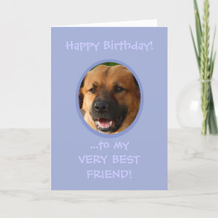 Feliz Aniversário Do Cão Ao Cartão com fotos Perso