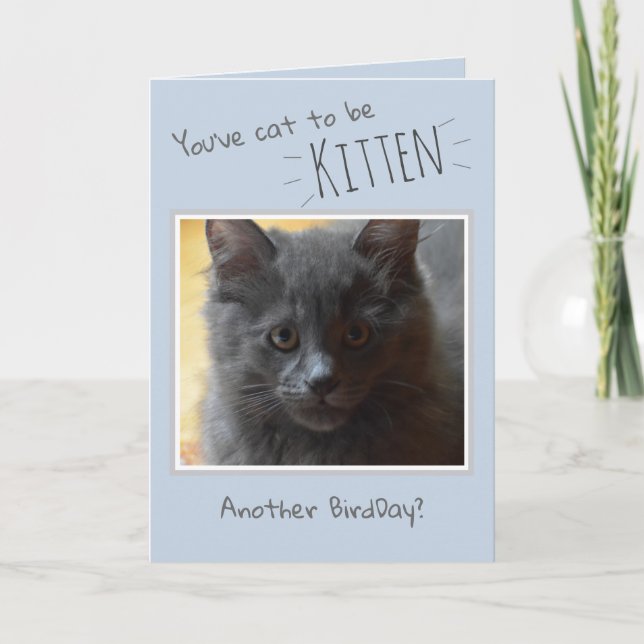 Feliz aniversário do Cartão de Gato (Frente)