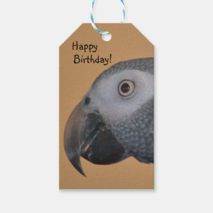 Feliz Aniversário do Papagaio Dando Etiquetas