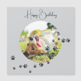 Feliz Aniversário do Seu Amigo Peludo 2 Fotos  