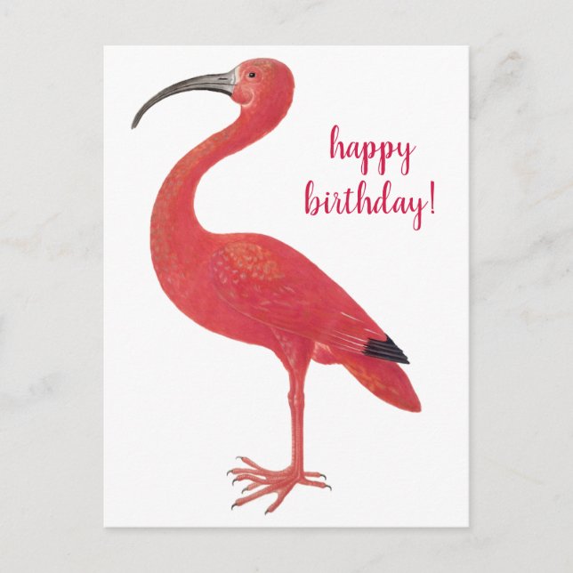 Feliz Aniversário Flamingo Arte Antiga em Cartão P (Frente)