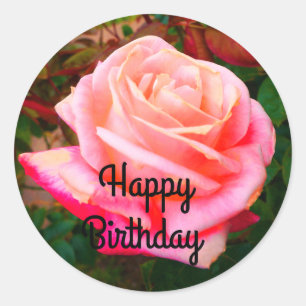 Feliz aniversário Gemini Rosa nº 2 Adesivos