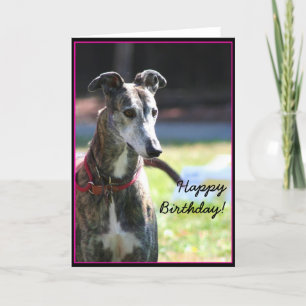 Feliz Aniversário, Greyhound, cartão de saudação