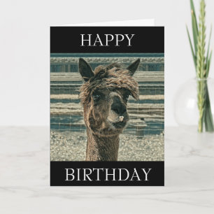 Feliz Aniversário Llama - Cartão de Aniversário