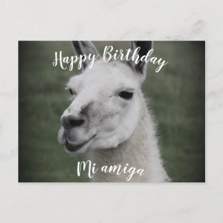 Feliz Aniversário "Mi Amiga" cartão postal de LLam