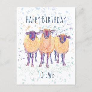 Feliz Aniversário para Ewe Cartão Postal