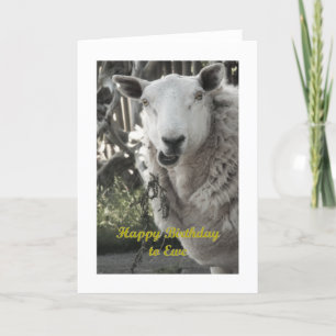Feliz Aniversário para o Cartão de Saudação Ewe