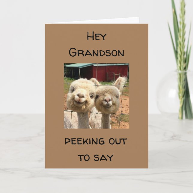 FELIZ *ANIVERSÁRIO* PARA O MEU CARTÃO *GRANDSON* (Frente)