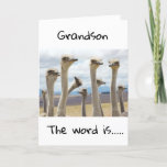 FELIZ ANIVERSÁRIO PARA VOCÊ ** CARTÃO GRANDSON**<br><div class="desc">FELIZ ANIVERSÁRIO ***GRANDSON*** OBRIGADOS PARA PARAR POR UMA DAS MINHAS OITO LOJAS!</div>