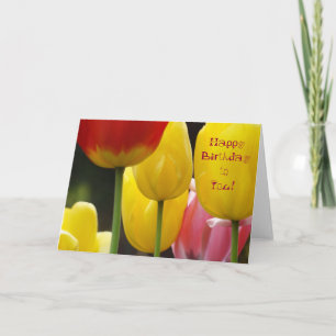 Feliz aniversário para você! Cartões - Tula Colori