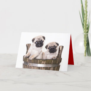 Feliz Aniversário Pug Puppy Dog - Cartão de Saudaç