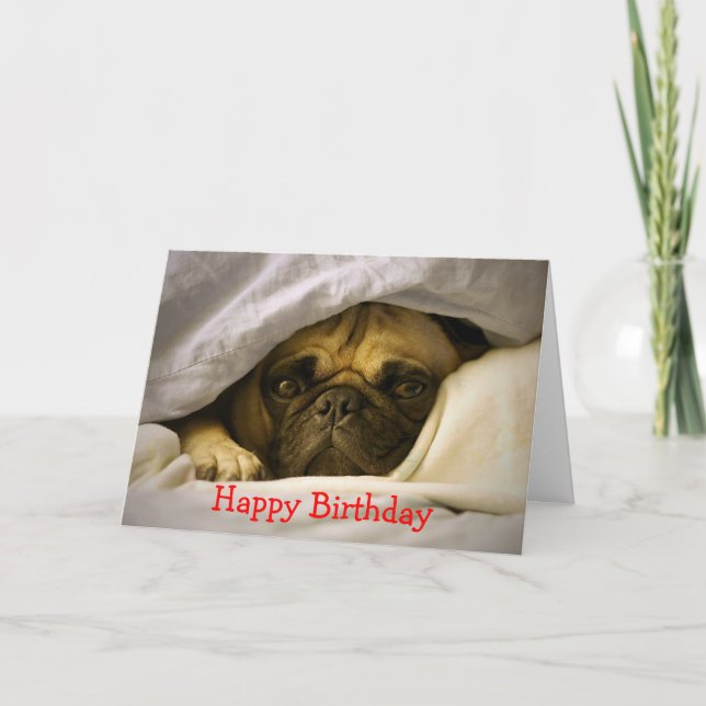 Feliz Aniversário Pug Puppy Dog Cartão Saudação (Frente)