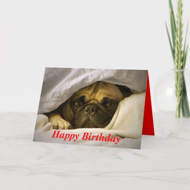 Feliz Aniversário Pug Puppy Dog Cartão Saudação (Frente)