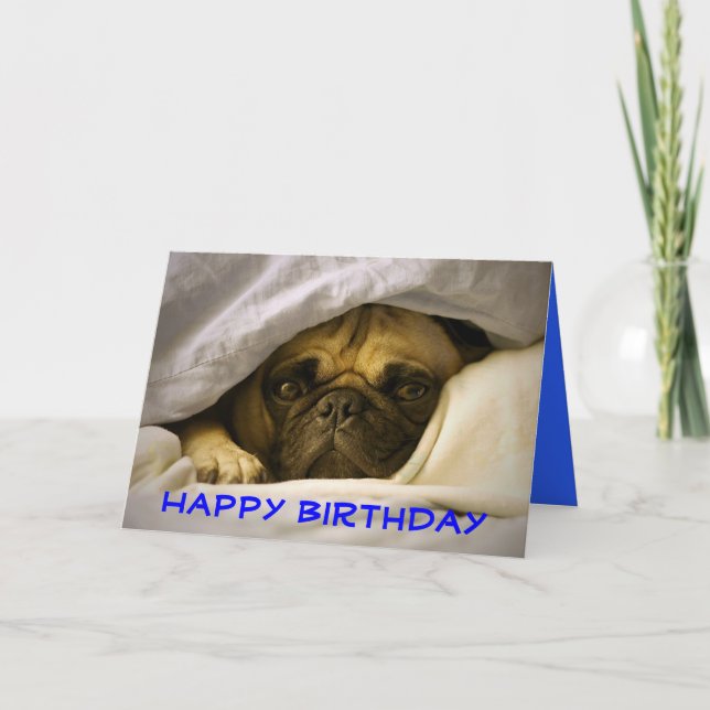 Feliz Aniversário Pug Puppy Dog Cartão Saudação (Frente)