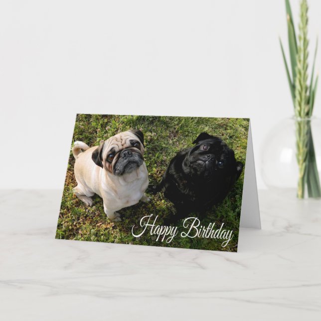 Feliz Aniversário Pug Puppy Dog Cartão Saudação (Frente)