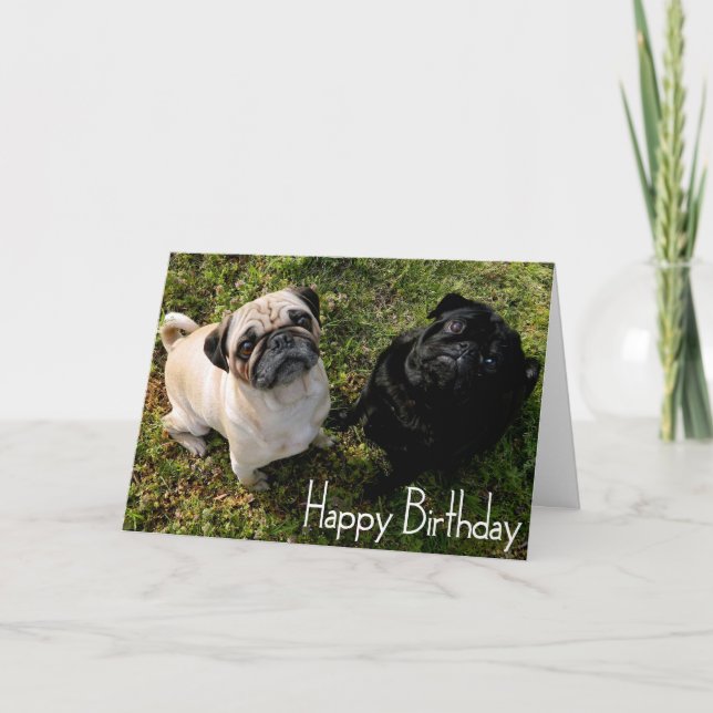 Feliz Aniversário Pug Puppy Dog Cartão Saudação (Frente)