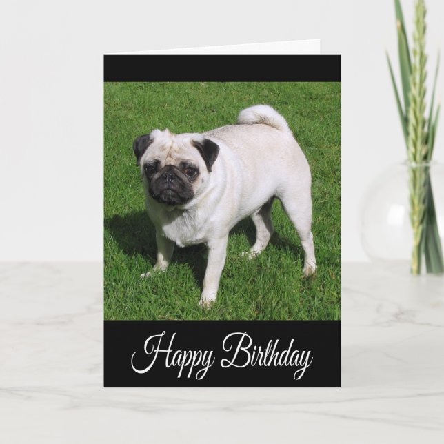Feliz Aniversário Pug Puppy Dog Cartão Saudação (Frente)