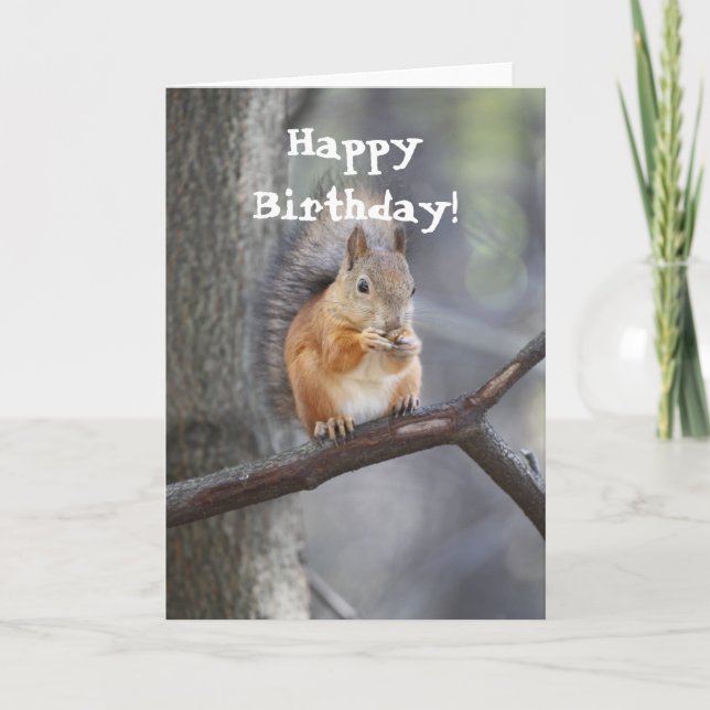 Feliz Aniversário Red Squirrel - Cartão de Saudaçã (Frente)