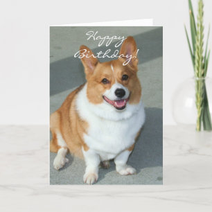 Feliz Aniversário Welsh Corgi - Cartão de Saudação