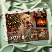 Feliz Cachorro Malandro Foto Divertida Natal
