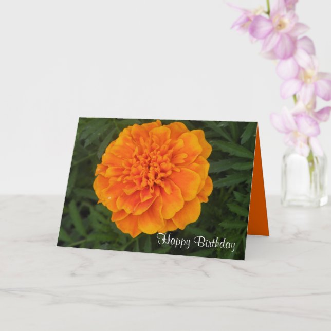Feliz Cartão de Aniversário (Orquídea)