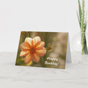 Feliz Cartão de Aniversário