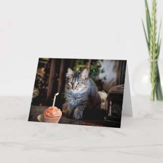 Feliz cartão de aniversário com gato