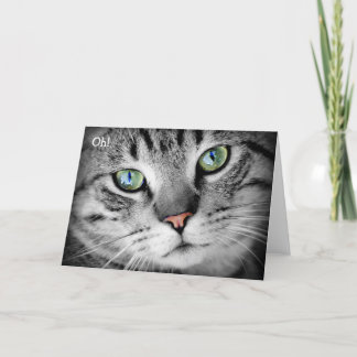 Feliz Cartão de Aniversário: Gato diz "Oh!"