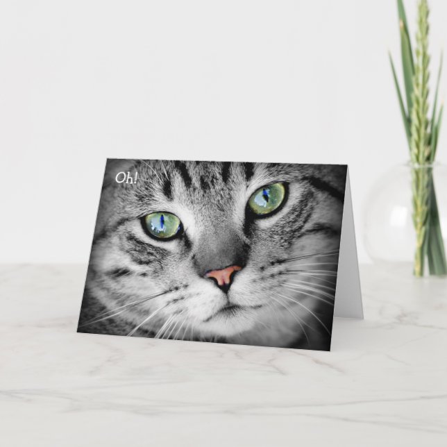 Feliz Cartão de Aniversário: Gato diz "Oh!" (Frente)