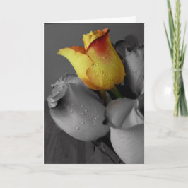 Feliz Cartão de Aniversário - Rosa