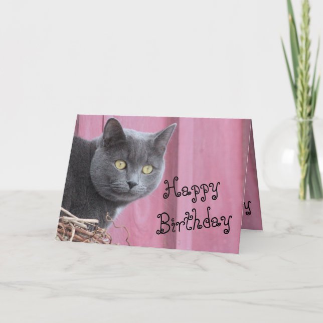 Feliz Cartão de Gato Gatinho de Aniversário (Frente)