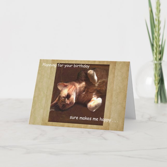 Feliz Cartão de Gato para o seu Aniversário. (Frente)