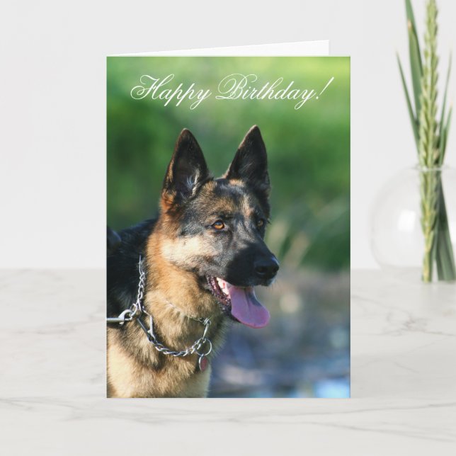 Feliz cartão de saudação do German shepherd de Ani (Frente)