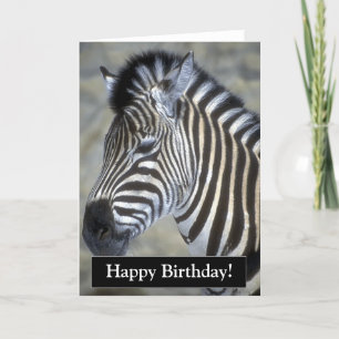 Feliz Cartão de Zebra de Aniversário