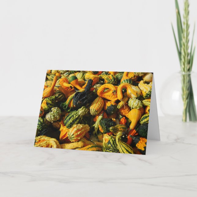 Feliz Colheita - Gourd Cartão Saudável (Frente)