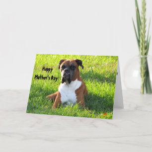 Feliz Dia de as mães... Cartão de Cachorro Boxer