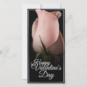 Feliz dia de os namorados com rosa rosa