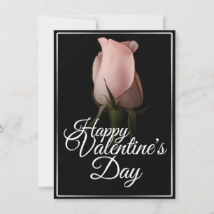 Feliz dia de os namorados com rosa rosa