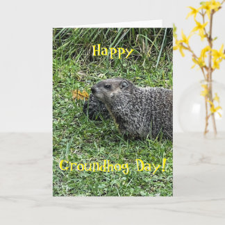 Feliz Dia do Marmota, cartões de saudação personal