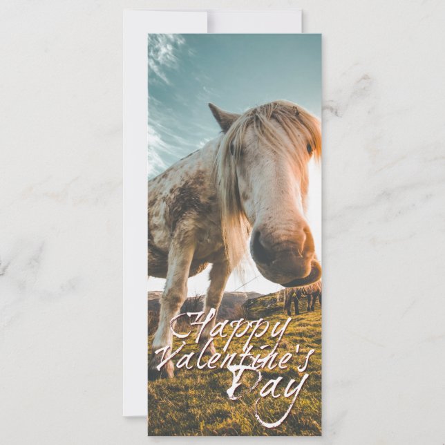 Feliz dia dos namorados com cavalo olhando (Frente)