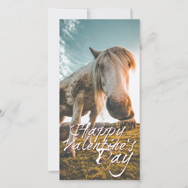 Feliz dia dos namorados com cavalo olhando (Frente)