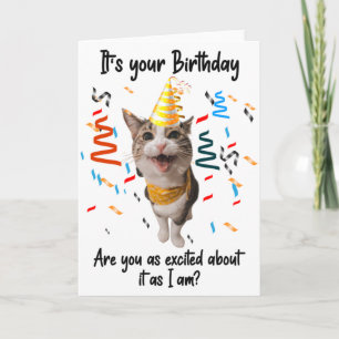 Feliz Gato Sorrindo Cartão de Aniversário