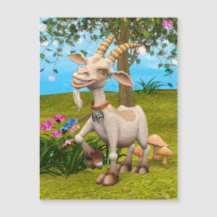 Feliz Goat
