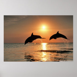 Feliz Muro de Manhã Poster