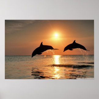 Feliz Muro de Manhã Poster