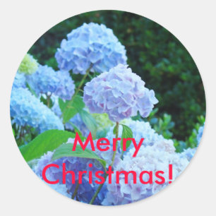 Feliz Natal! adesivos Hortênsias Lavanda Azul