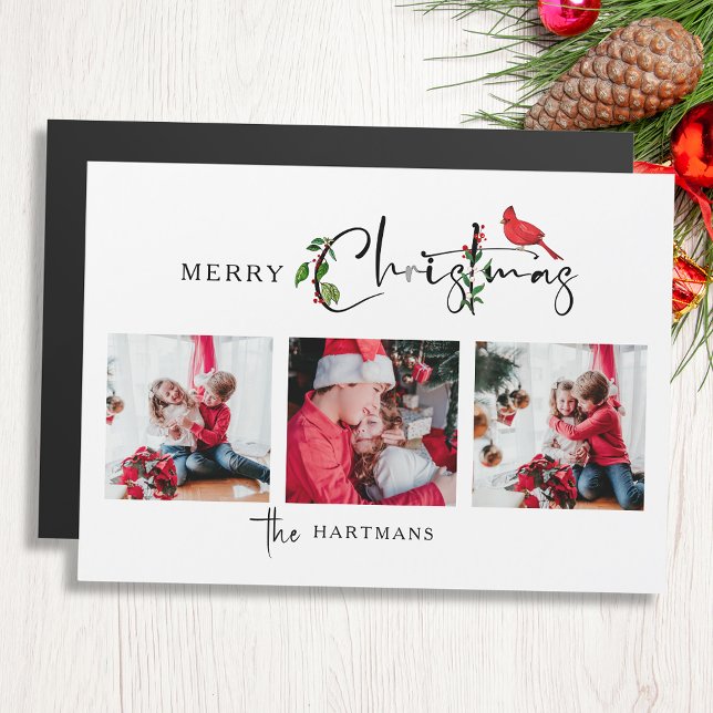 Feliz Natal Calliografia Botânica 3 Foto (Criador carregado)