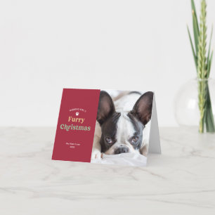 Feliz Natal, Cão Vermelho ou Cartão com fotos de F
