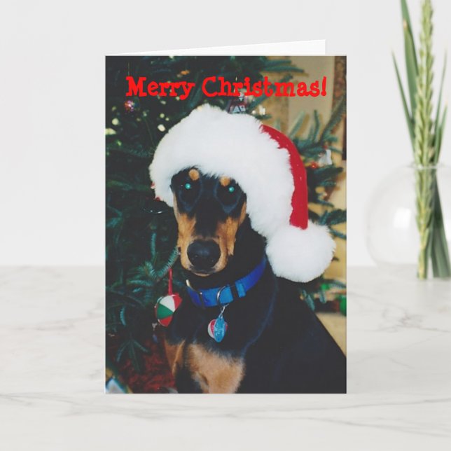 Feliz Natal! Cartão de Saudação Doberman (Frente)