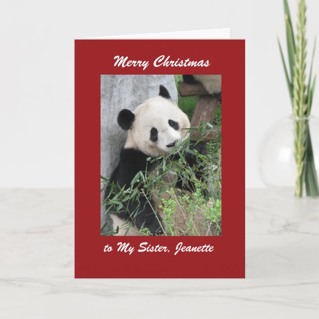 Feliz Natal Cartão de Saudação Panda, Fronteira Ve (Frente)